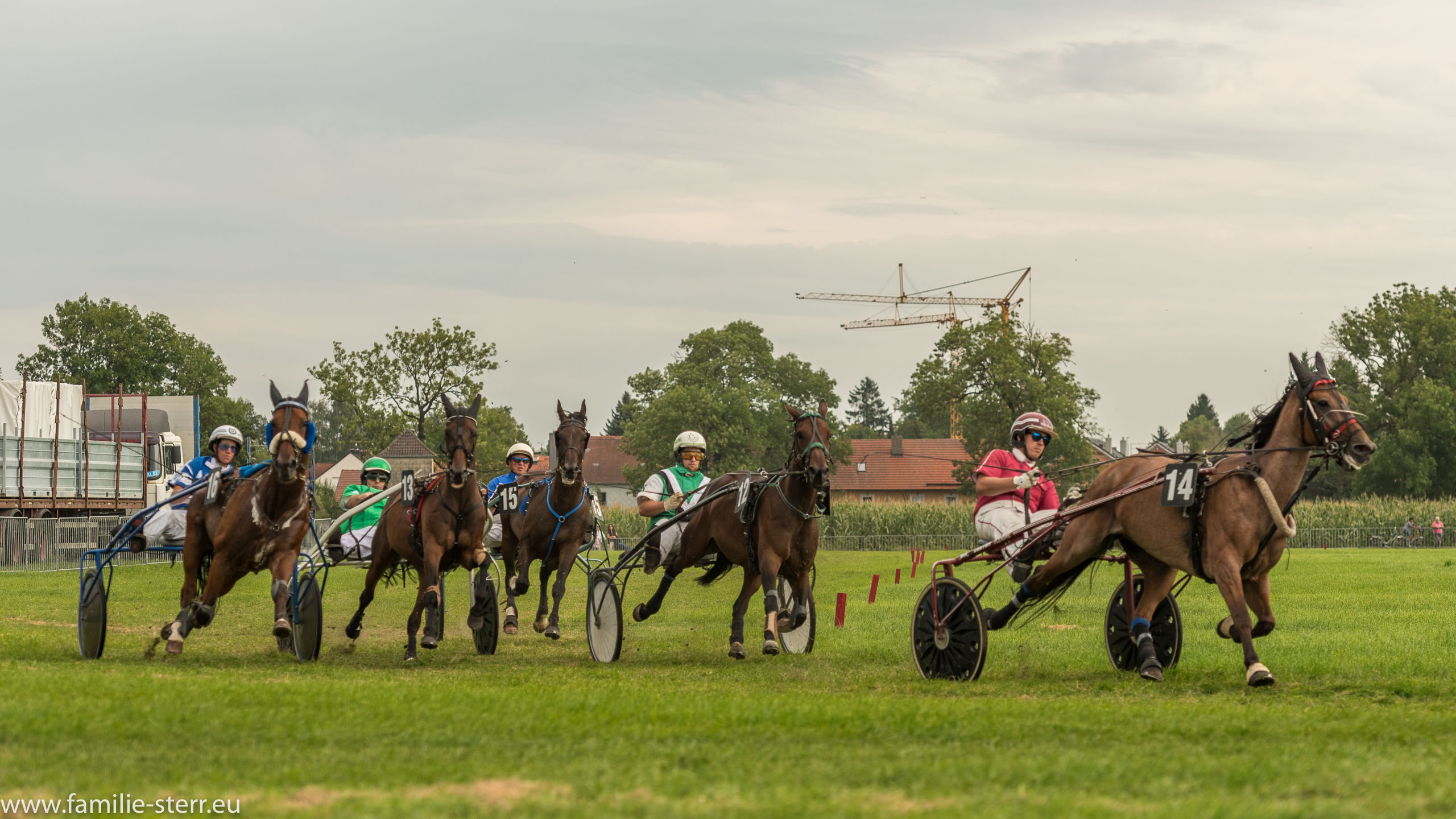 Trabrennen in Erding 2017
